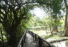 Imagen Parque de la Salud de Cartago